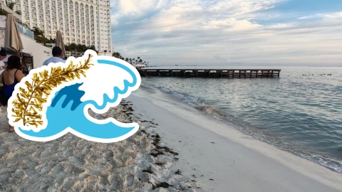 Playas libres de sargazo en Quintana Roo este 25 de julio de 2025_ Lista desde Holbox, Cancún y hasta Tulum.jpg