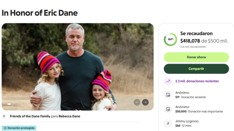 Gofundme de Eric Dane