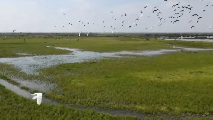 Lago de Texcoco Área Natural Protegida