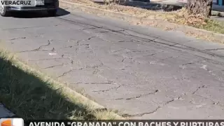 Avenida Granada de Xalapa.jpg