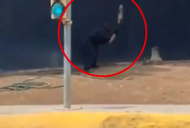 Hombre que mató a un tlacuache en Monterrey pasaría nueve años en prisión.