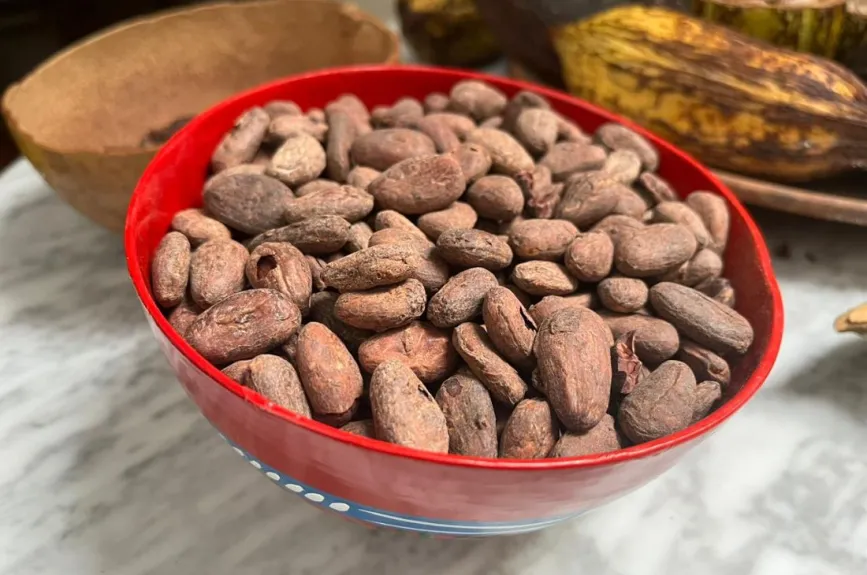 chocolate-en-México-como-ha-crecido-la-industria