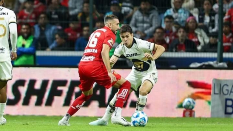Pumas