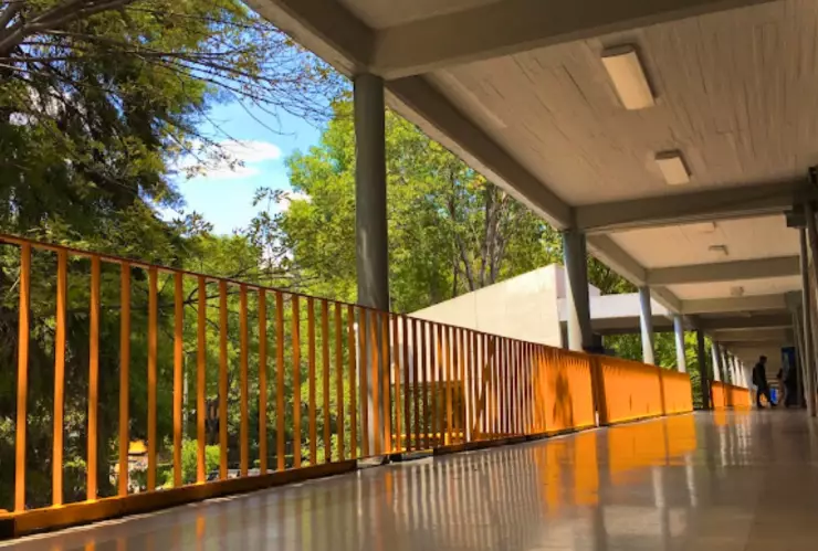 Claves de escuelas Ecoems 2025