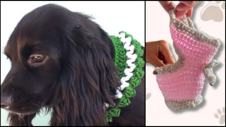 como tejer collar para perro crochet