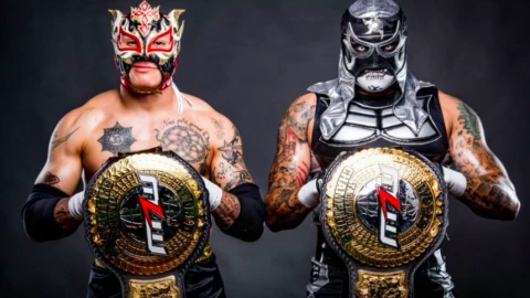 Lucha Brothers.png