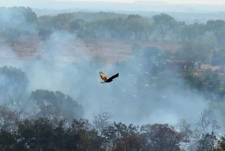 contaminación por incendios amazonas