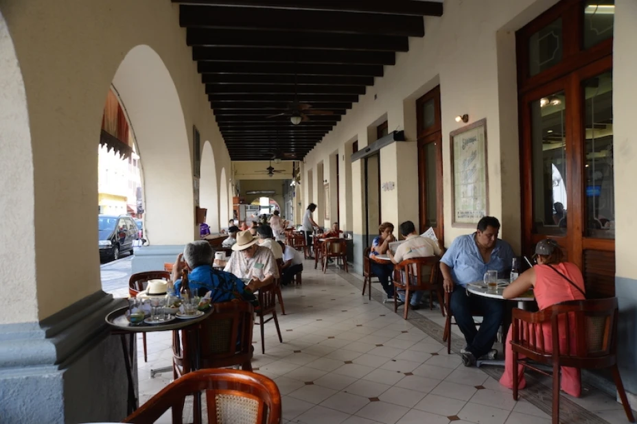 Elecciones Veracruz