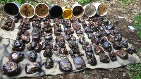 Aseguran centro de acopia para elaborar droga sintetica 5