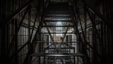 Por los delitos de violencia familiar y crueldad animal, imputan a hombre