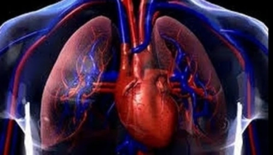 Males pulmonares