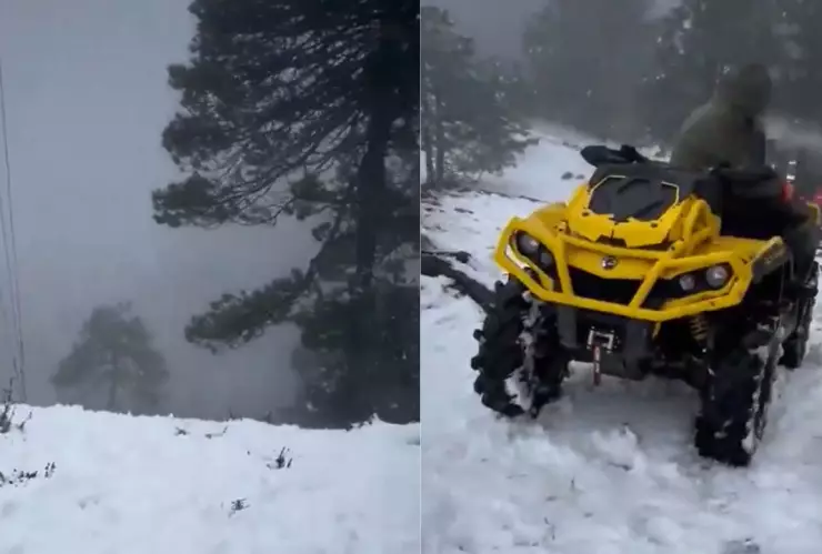 Diseño sin título (8).jpg