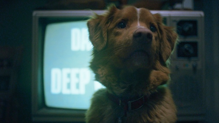 Good Boy película terror