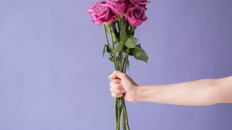 Por qué se regalan flores moradas 9 de noviembre