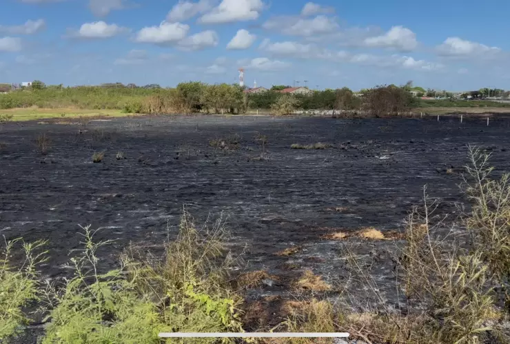 VIDEO: Así se ve el malecón de Pensiones tras el DEVASTADOR incendio del miércoles, 2 de abril de 2025