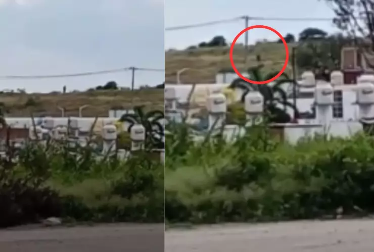 Captan a gigante en la colonia Jacinto López en León