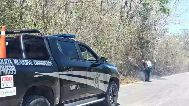 FOTOS_ Fuerte incendio en la carretera Motul - Cacalchén, logró ser controlado