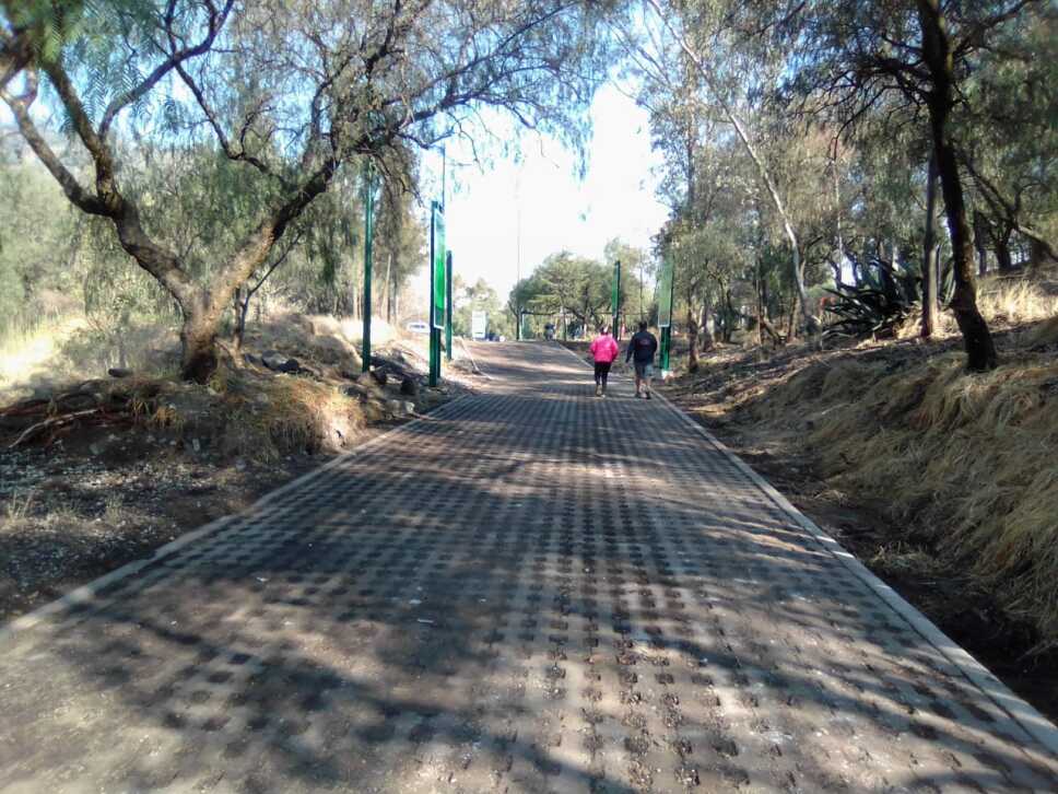 GAM parque