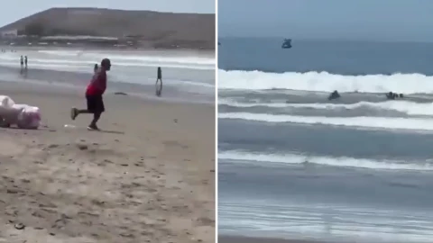 Vendedor ambulante.png