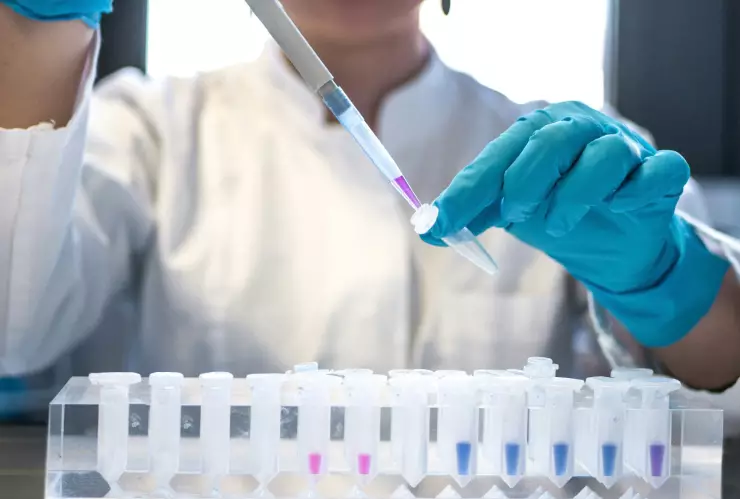 Crean antiveneno en México; podría combatir picaduras de serpientes más mortíferas de África.webp