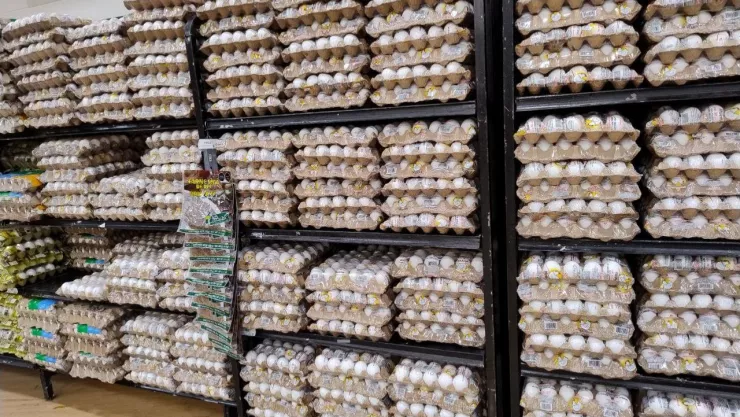 Este ser&aacute; el precio del kilo de huevo