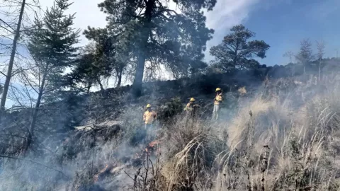 Incendio forestal se extendió hasta 8 hectáreas en Chilchotla; así quedó la zona