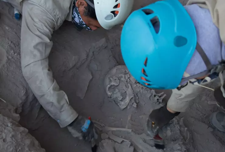 Osamenta que, al parecer, corresponde a un individuo “janambre” INAH .jpeg