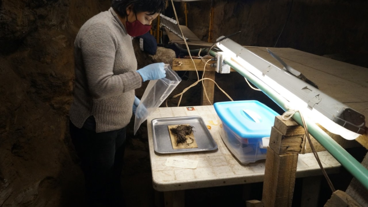 restauradora analiza ramo de flores.jpg