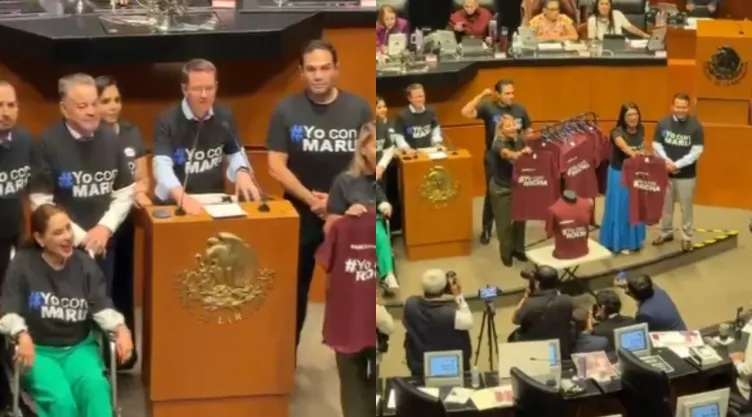 cámara de senadores