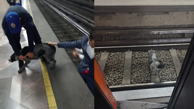 EN VIVO: ¿Qué pasa en el Metro CDMX hoy 21 de abril 2025? Últimas noticias; líneas con retrasos
