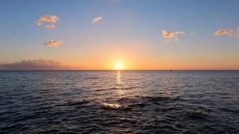 Tenacatita, Jalisco ofrece aguas claras, manglares y amaneceres espectaculares en un entorno natural intacto.