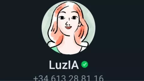 LuzIA: el chat de inteligencia artificial que se suma a WhatsApp