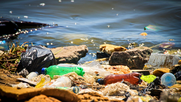 microplásticos en el mar