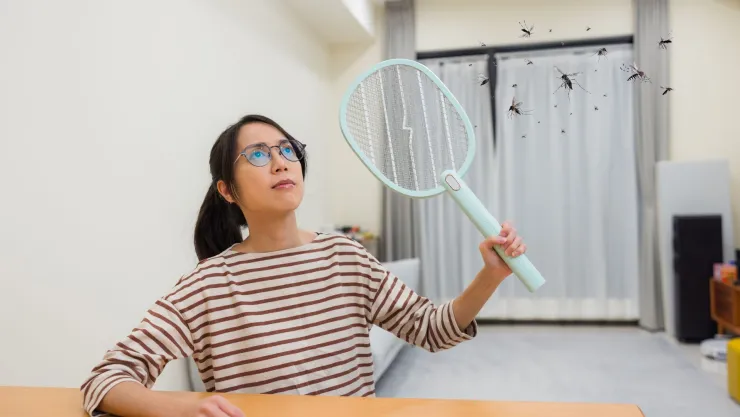 mosquitos casa