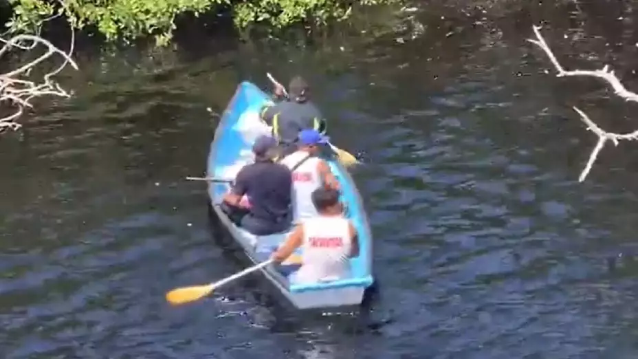 Niño cae al lago con cocodrilos