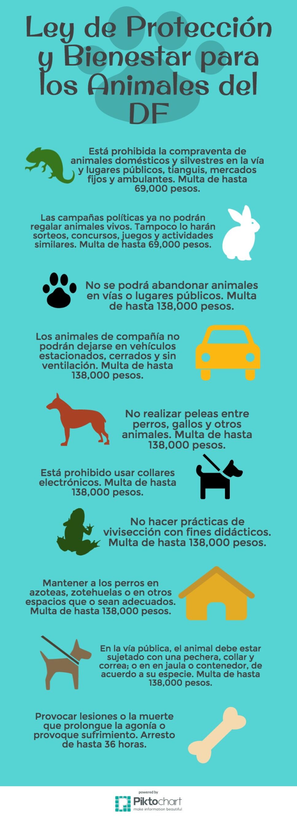 ley-animales-vobo.jpg