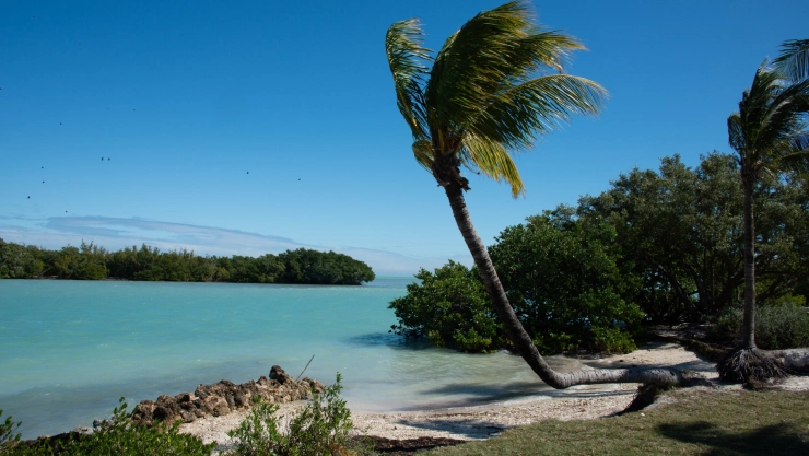 La isla privada Bird Key en Florida
