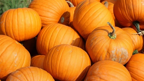 Receta de Pay de Calabaza para Halloween: Fácil y divertida para niños