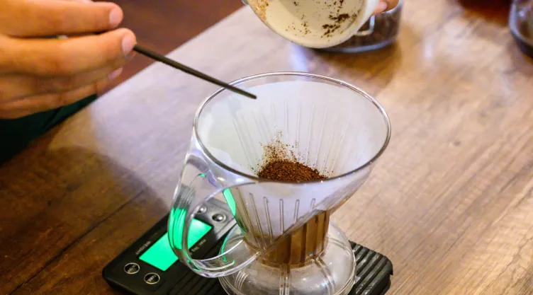 borra de cafe como neutralizador de olores