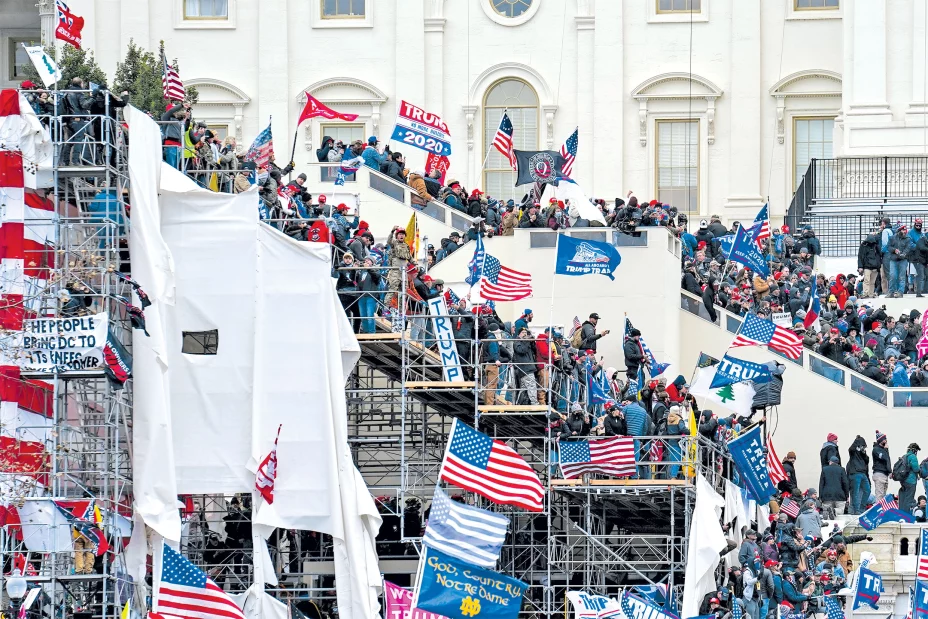 OLIVA AP21007041297556.jpg