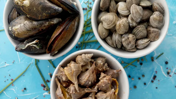 ¿Qué mariscos de Baja California están prohibidos y no recomiendan comer por Marea Roja