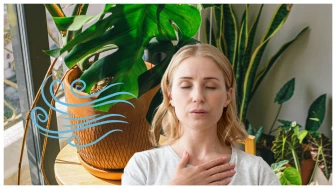 plantas para casa oxígeno