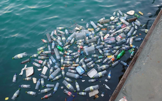 Bacterias, microplásticos