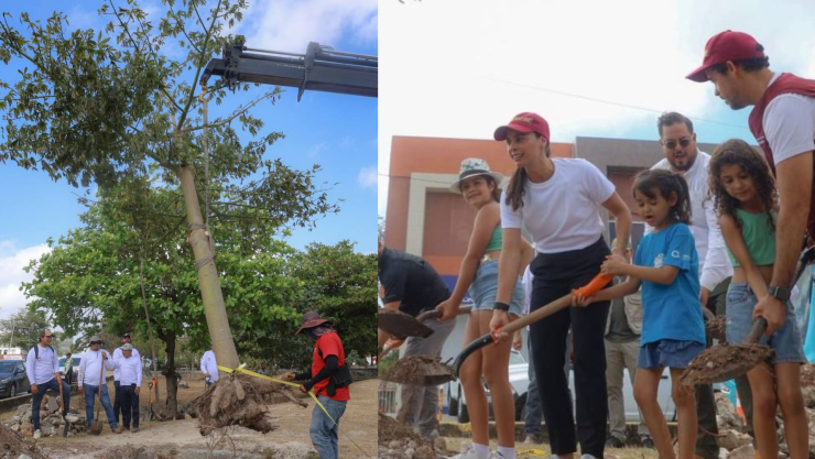 Aniversario 55 de Cancún_ Plantan ceiba en la avenida Uxmal en conmovedora ceremonia.jpg