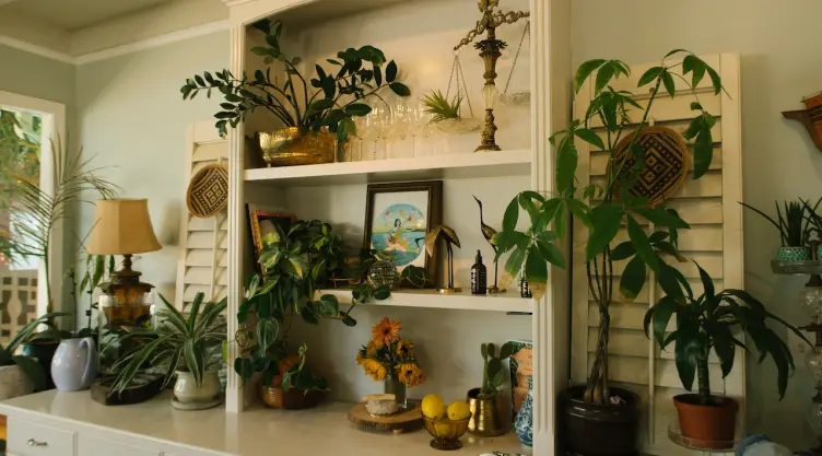 ¿Qué plantas pueden ayudar a reducir el calor?