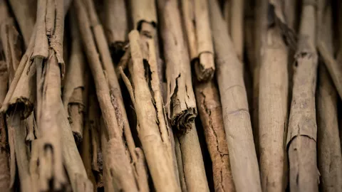 como hacer el ritual de la canela