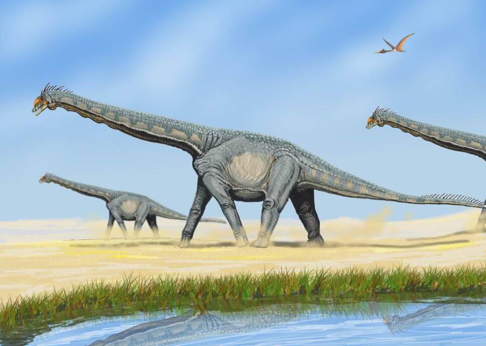 Dinosaurio, largo, fósil 3.jpg