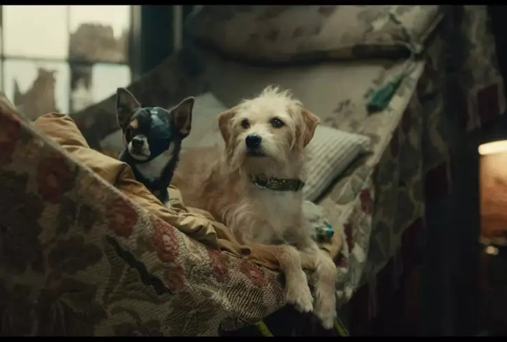 Cruella Los perros rescatados y todo el elenco