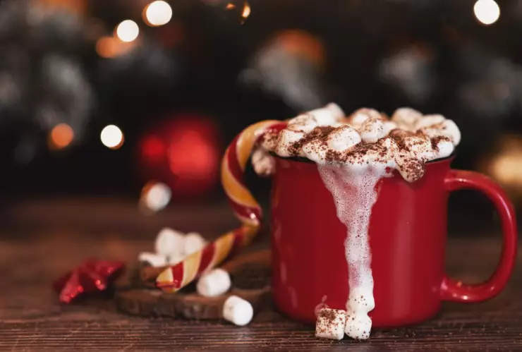 Cafe y Chocolate Fest Edicion Navideña 2024