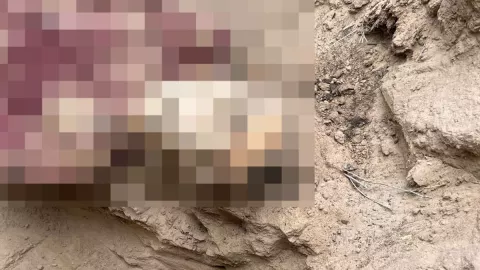 Localizan 14 cuerpos en fosas en el Valle de Mexicali